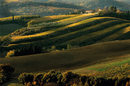 Il territorio